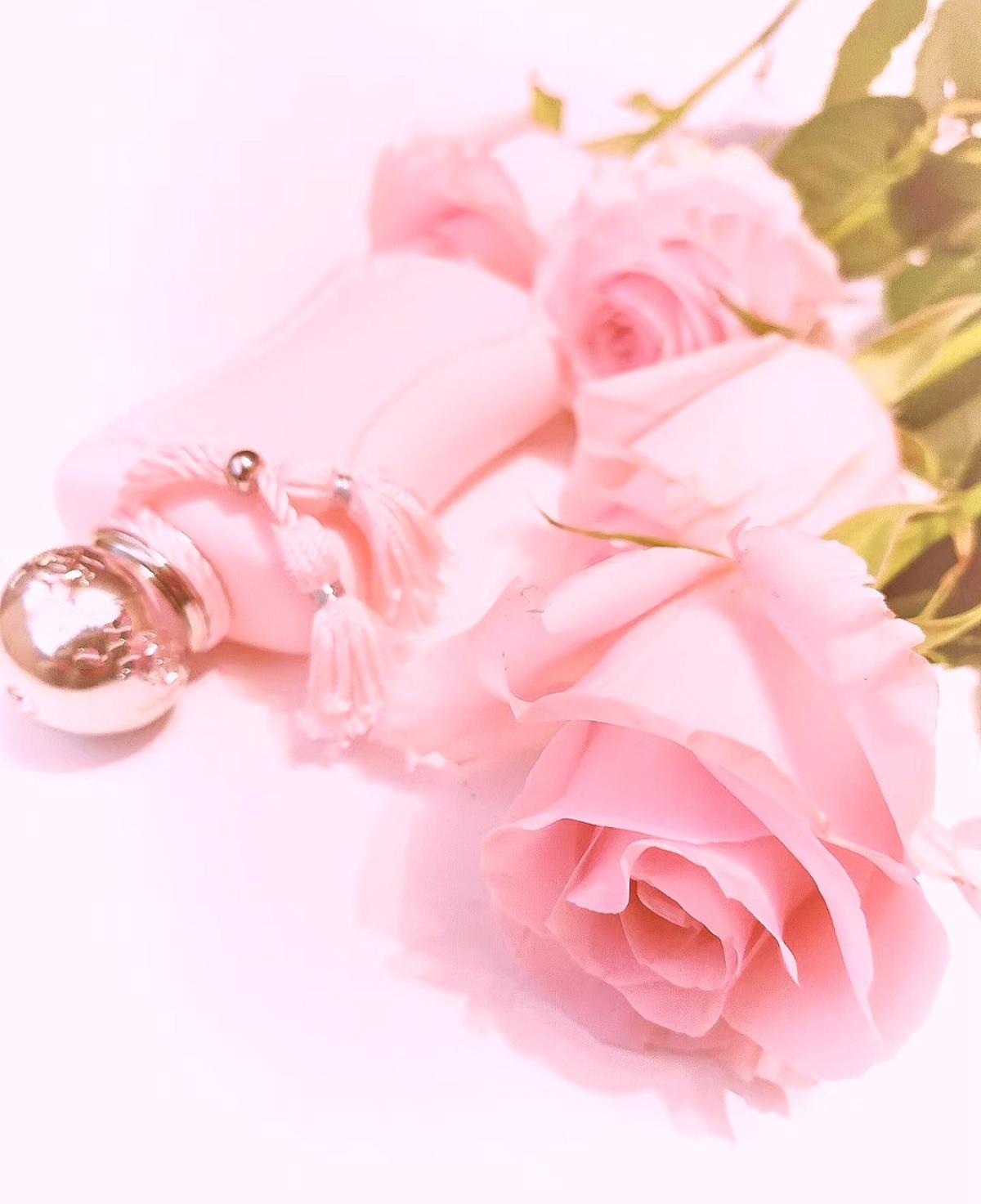 Perfume Delina